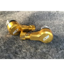 SET 2 VALVA ROATA 90 GRADE AURIU FILETUL M10 NY3T NY3T  Valve Anvelope 38,00 lei 38,00 lei 31,93 lei 31,93 lei