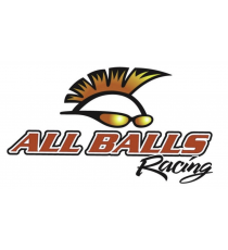 AllBalls - Kit rulmenti jug 22-1062 775-1062 / 901.22.1062 ALL BALL RACING AllBalls - Kit Rulmenti Jug 348,00 lei 348,00 lei ...