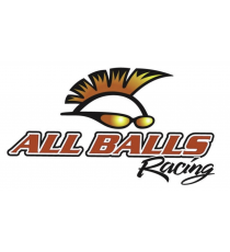 Kit rulmenti de jug All Balls Racing SB22-1001 901.22.1001 ALL BALL RACING AllBalls - Kit Rulmenti Jug 207,00 lei 207,00 lei ...