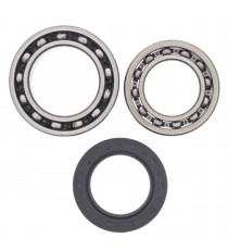 Kit rulmenti si garnituri roata All Balls Racing WB25-1010 903.25.1010 ALL BALL RACING AllBalls - Kit Rulmenti Roata 226,00 l...