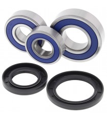 Wheel Bearing Kit All Balls Racing WB25-1703 903.25.1703 ALL BALL RACING AllBalls - Kit Rulmenti Roata 218,00 lei 218,00 lei ...