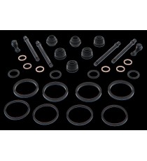Caliper Rebuild Kit All Balls Racing CRK18-3172 919.18.3172 ALL BALL RACING AllBalls - Kit Reparatie Etrier 336,00 lei 302,40...
