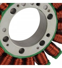 ER-6f ER-6n 650 2006 2007 2008 2009 2011 KLE650 Versys650 2007 - 2011 Kawasaki Magneto Coil Generator Stator Alternator Bobin...
