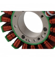 Can-Am DS 250 2008-2019 S31120RCA000 Magneto Coil Generator Stator Alternator Bobina K079-991  Alternator Stator 364,00 lei 3...