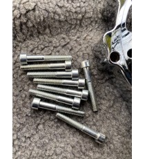 Gsxr1300 1998-2019 Suzuki Hayabusa Capac Stator Stanga Alternator + Suruburi Chrom MT054CD  Capac Motor 260,00 lei 234,00 lei...