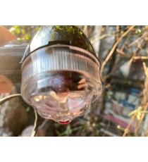 Set 2 Buc Semnale Pe Bec (R10w 12v) Negru Geam Transparent Semnalizatoare Moto Cafe Racer Bobber Chopper Retro 6HS7W  Semnal ...