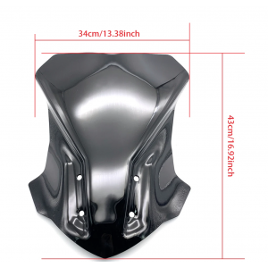 BMW G310GS G 310 GS 2017 2018 2019 2021 2022 Parbriz  Fumuriu