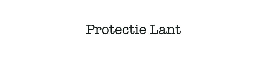 Protectie Lant