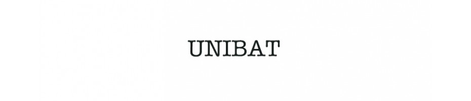 UNIBAT Acumulator