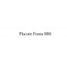 Placute Frana SBS