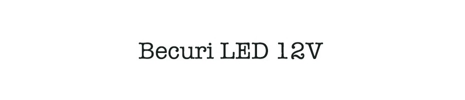 Becuri LED 12V