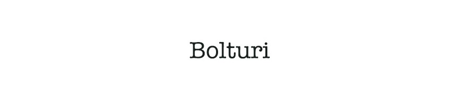 Bolturi