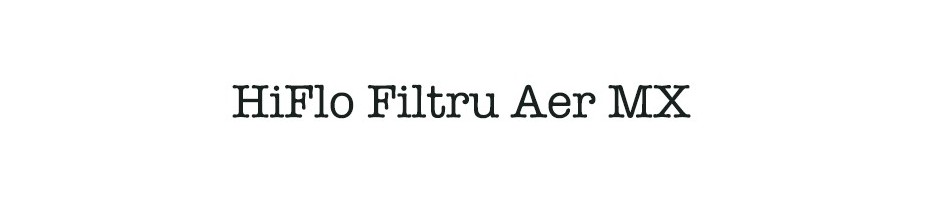 HiFlo Filtru Aer MX