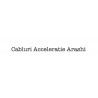 Cabluri Acceleratie Arashi