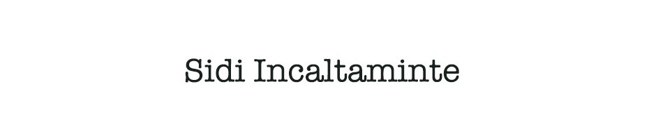 Sidi Incaltaminte