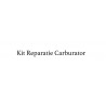 Kit Reparatie Carburator