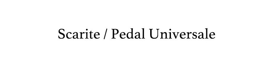 Scarite / Pedal Universale
