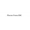 Placute Frana EBC