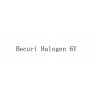 Becuri Halogen 6V