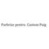 Parbrize pentru  Custom Puig