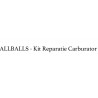 ALLBALLS - Kit Reparatie Carburator