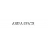 Aripa spate