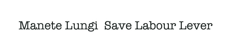 Manete Lungi 3 Degete Save Labour Lever