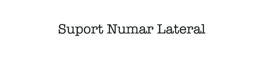 Suport Numar Lateral