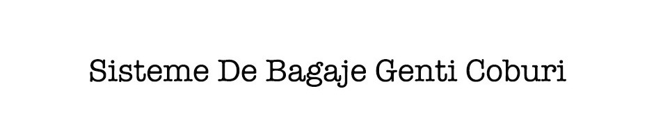 Accesorii Bagaj