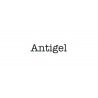 Antigel 