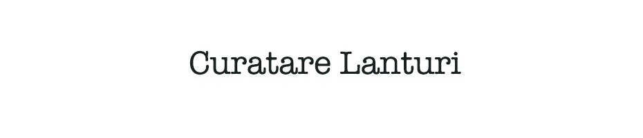 Curatare Lanturi