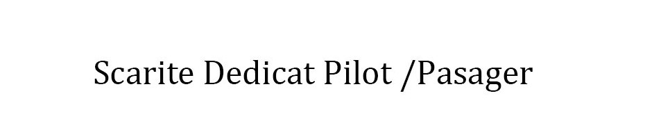 Scarite Dedicat Pilot /Pasager